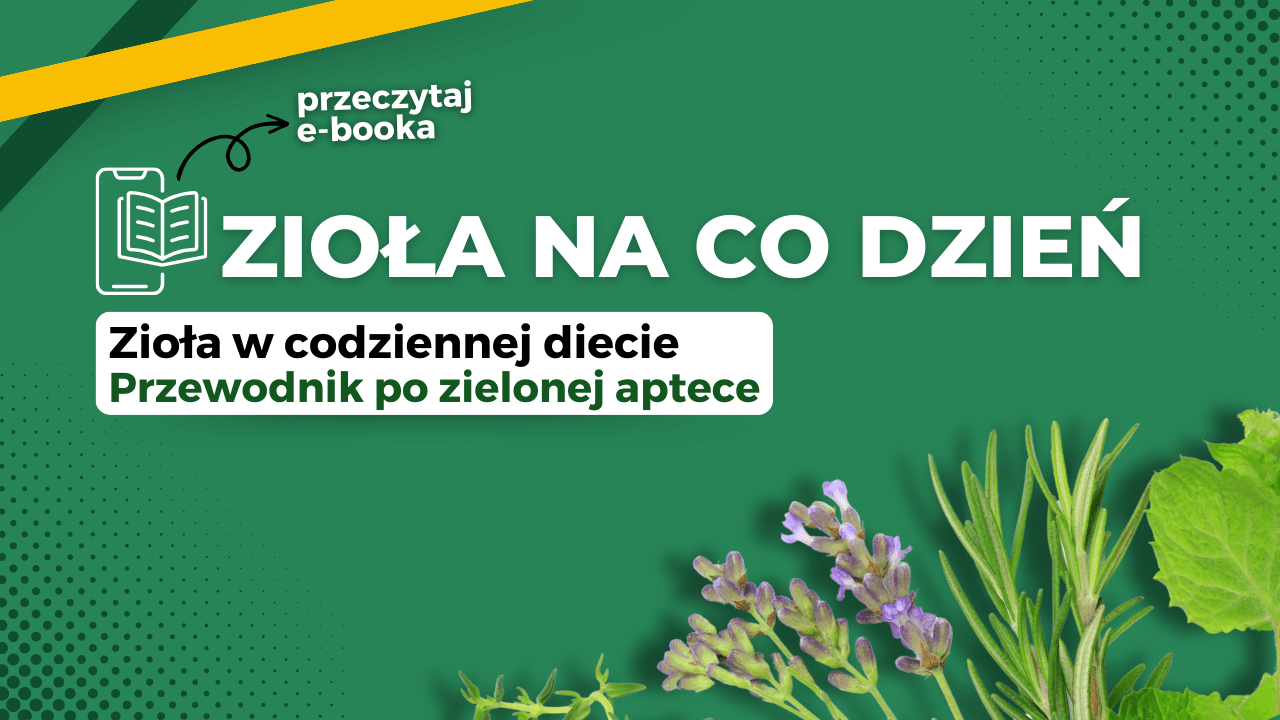 Zioła na co dzień Ebook