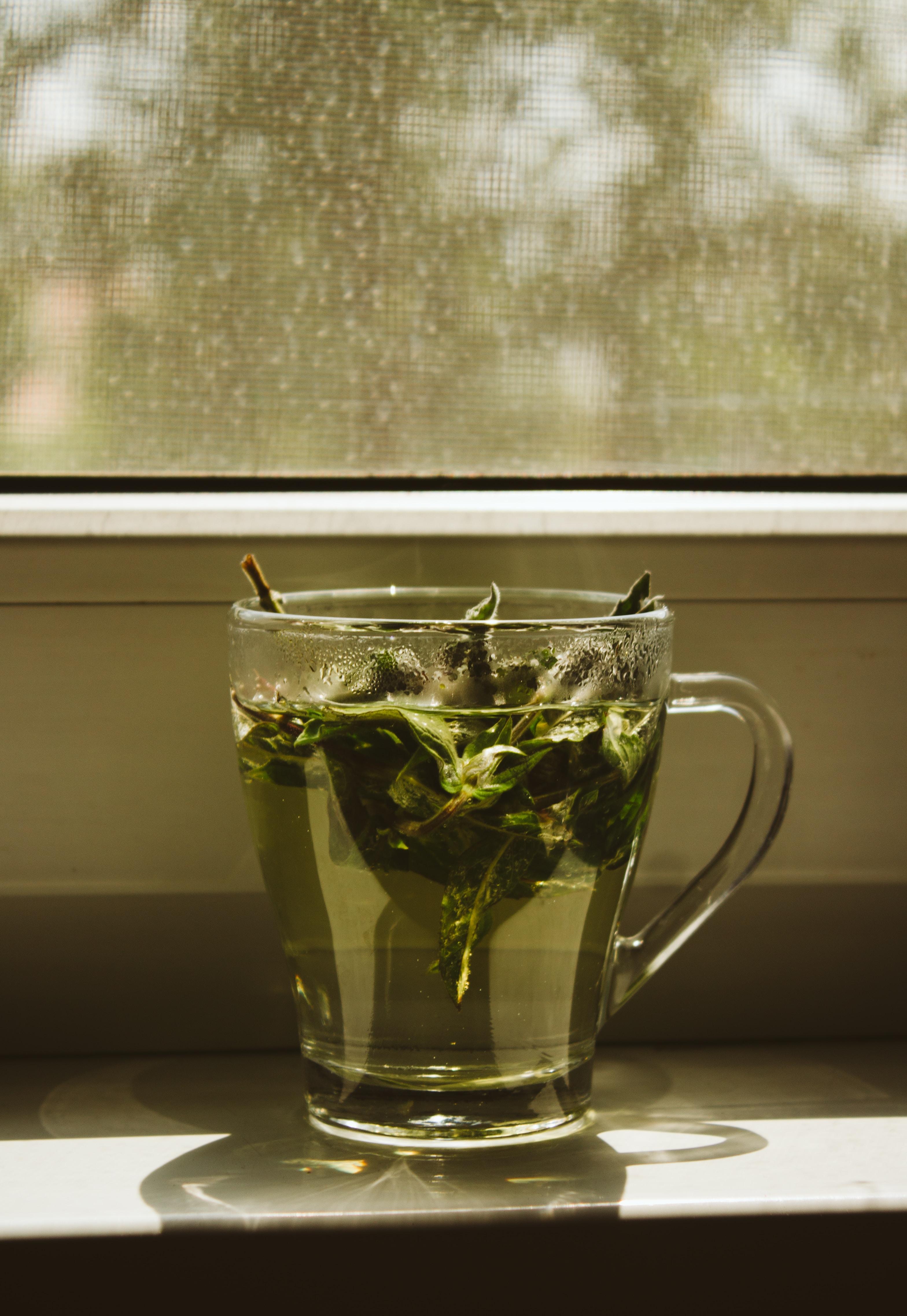 Zielona herbata - zalety i wady. Na co pomaga zielona herbata? Właściwości lecznicze herbaty zielonej. Skutki uboczne picia tego napoju 