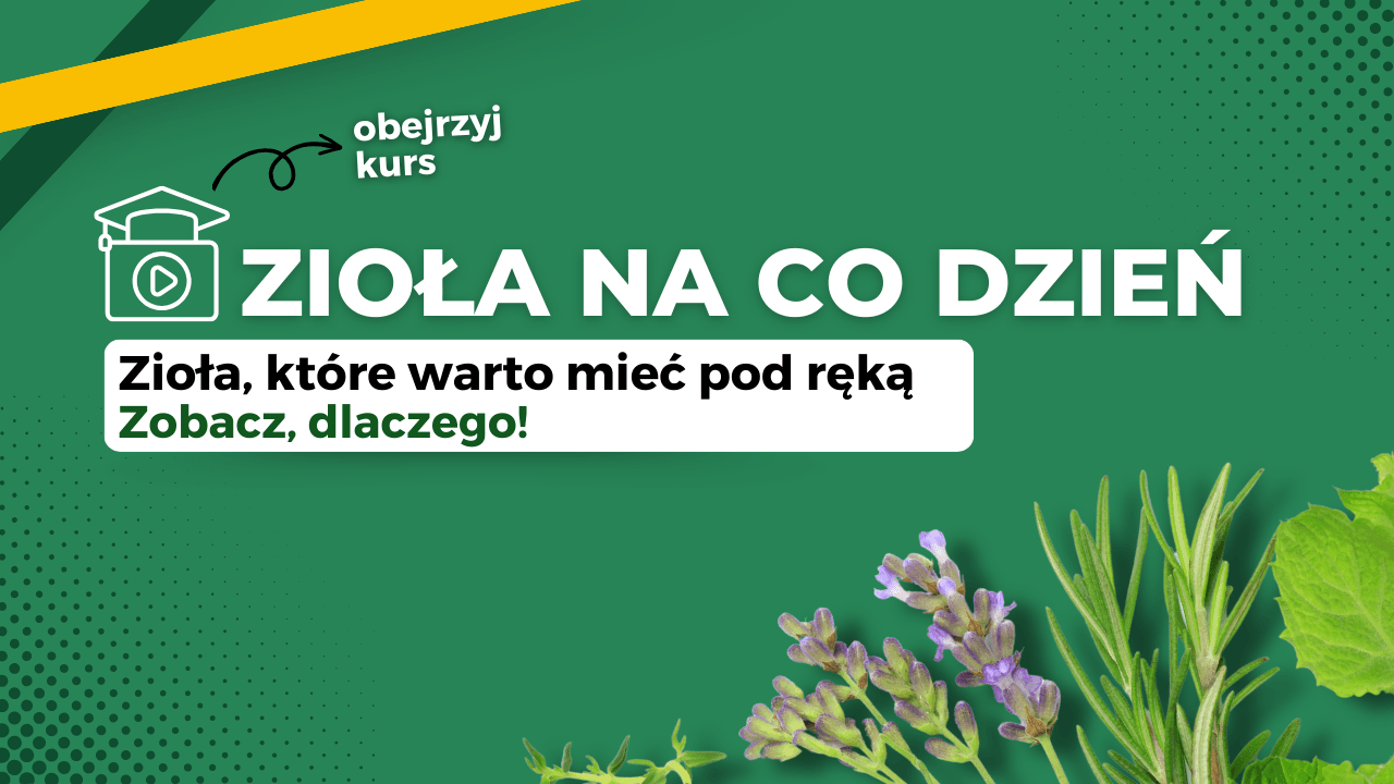 Zioła na co dzień Video