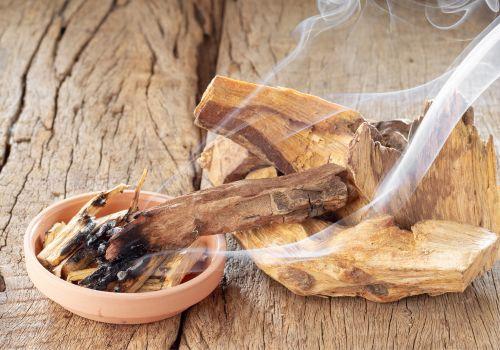 Palo Santo - co to jest? Palo Santo korzyści dla zdrowia immunologicznego i zapalenia