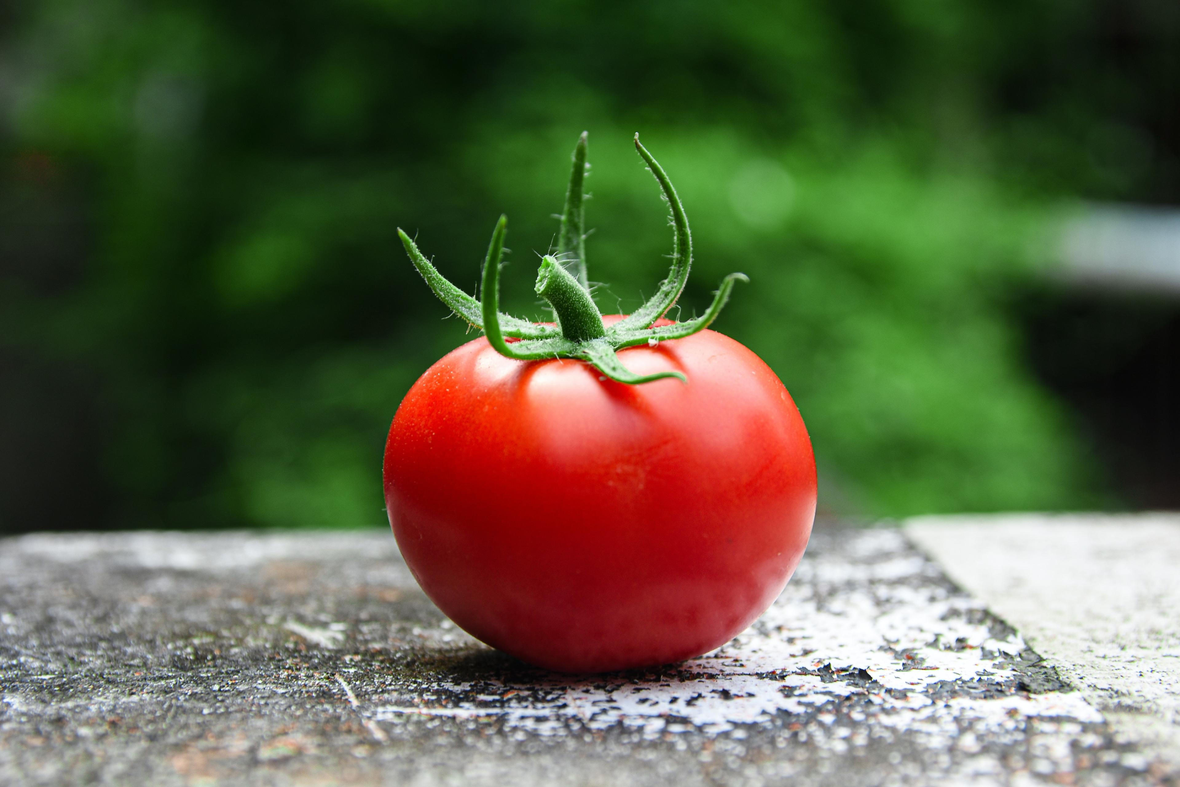 Jakie witaminy występują w pomidorach? Znaczenie pomidorów w zdrowej diecie. Co jest najcenniejszego w pomidorach? Właściwości pomidorów. Pomidory - właściwości lecznicze i wartości odżywcze