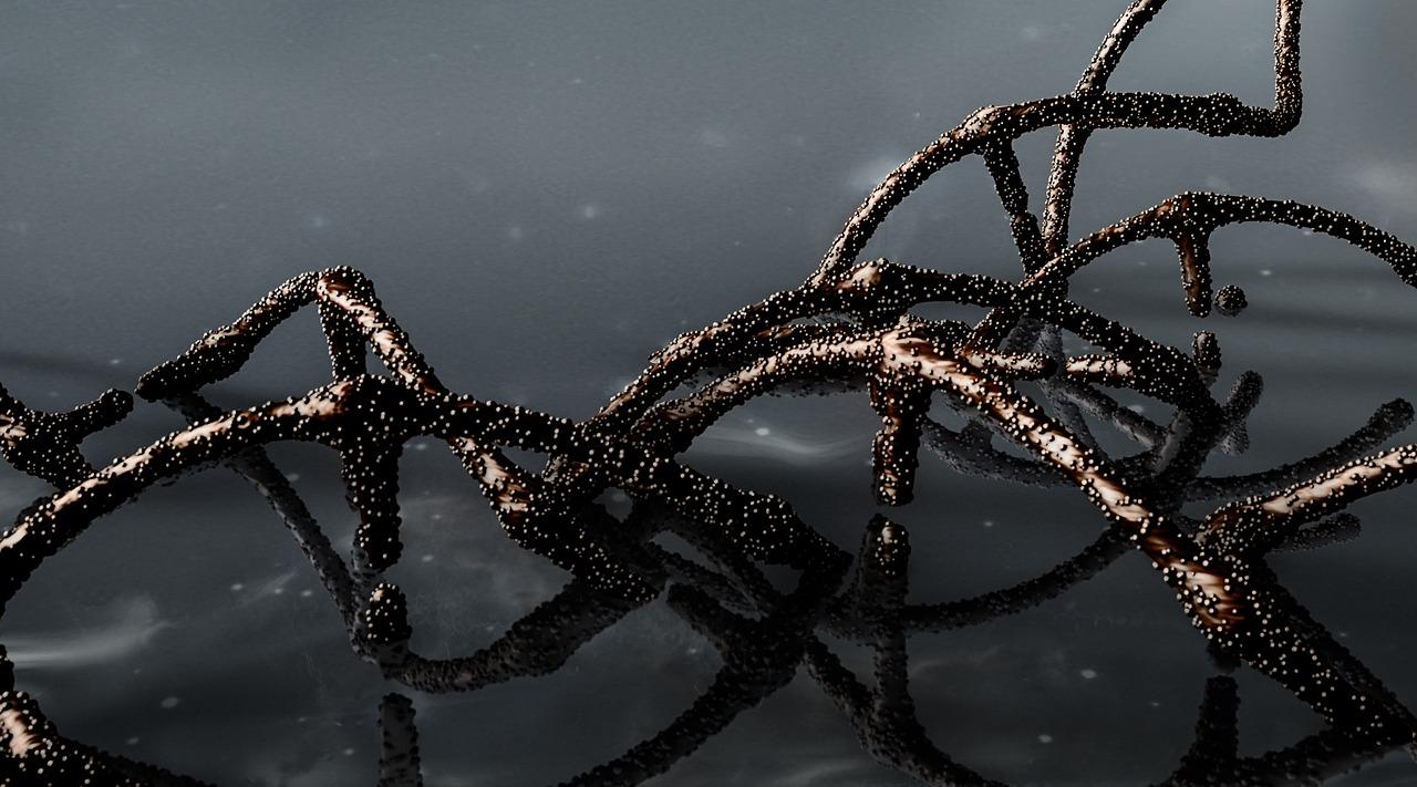 Zakażenie grzybem candida auris