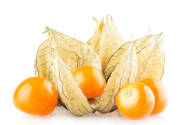 Miechunka – właściwości zdrowotne (także suszonej) i wartości odżywcze