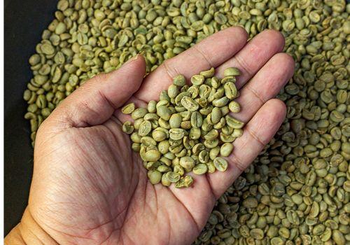 Zielona kawa - skuteczny sposób na odchudzanie?