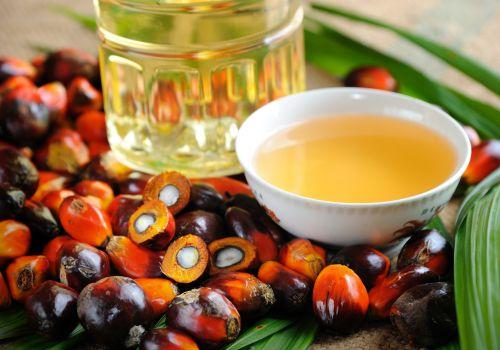 Czy olej palmowy jest szkodliwy? Właściwości oleju palmowego i jak wypada w porównaniu do oleju kokosowego?