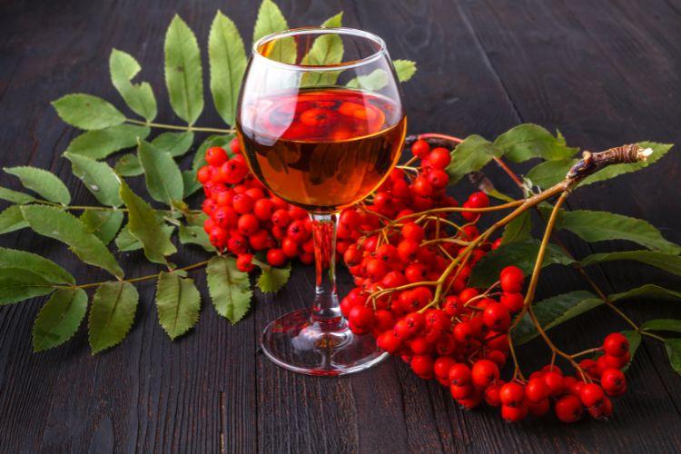 Nalewka z jarzębiny (jarzębiak) – właściwości i tradycyjny przepis