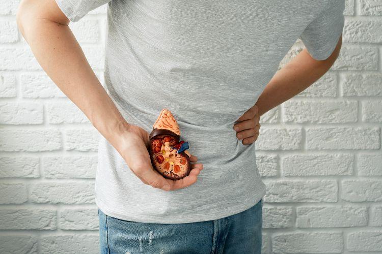 Kamienie nerkowe - skąd się biorą, jak wyglądają i jak bolą?