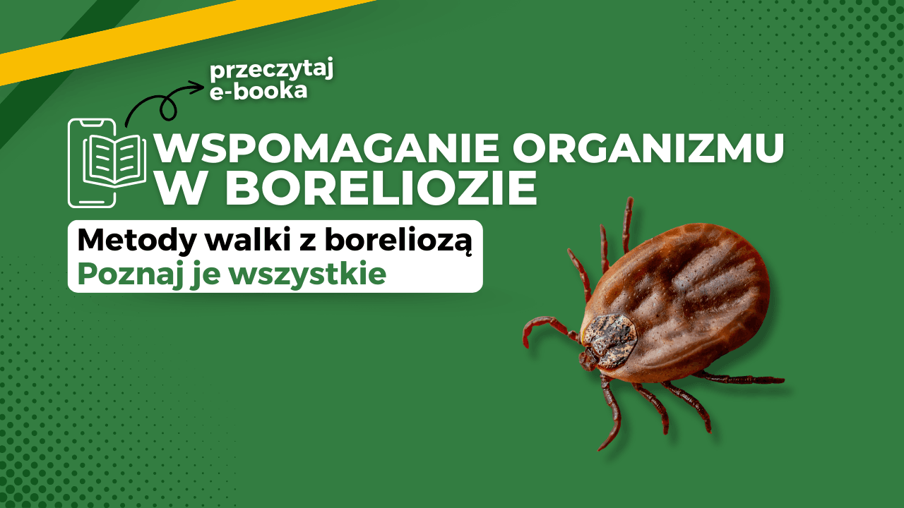 Wspomaganie organizmu w boreliozie Ebook