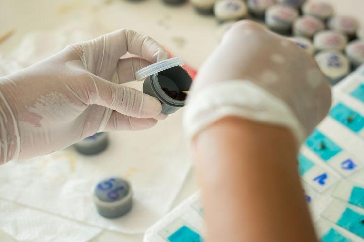 Badanie kału na pasożyty - jak wygląda, ile kosztuje?