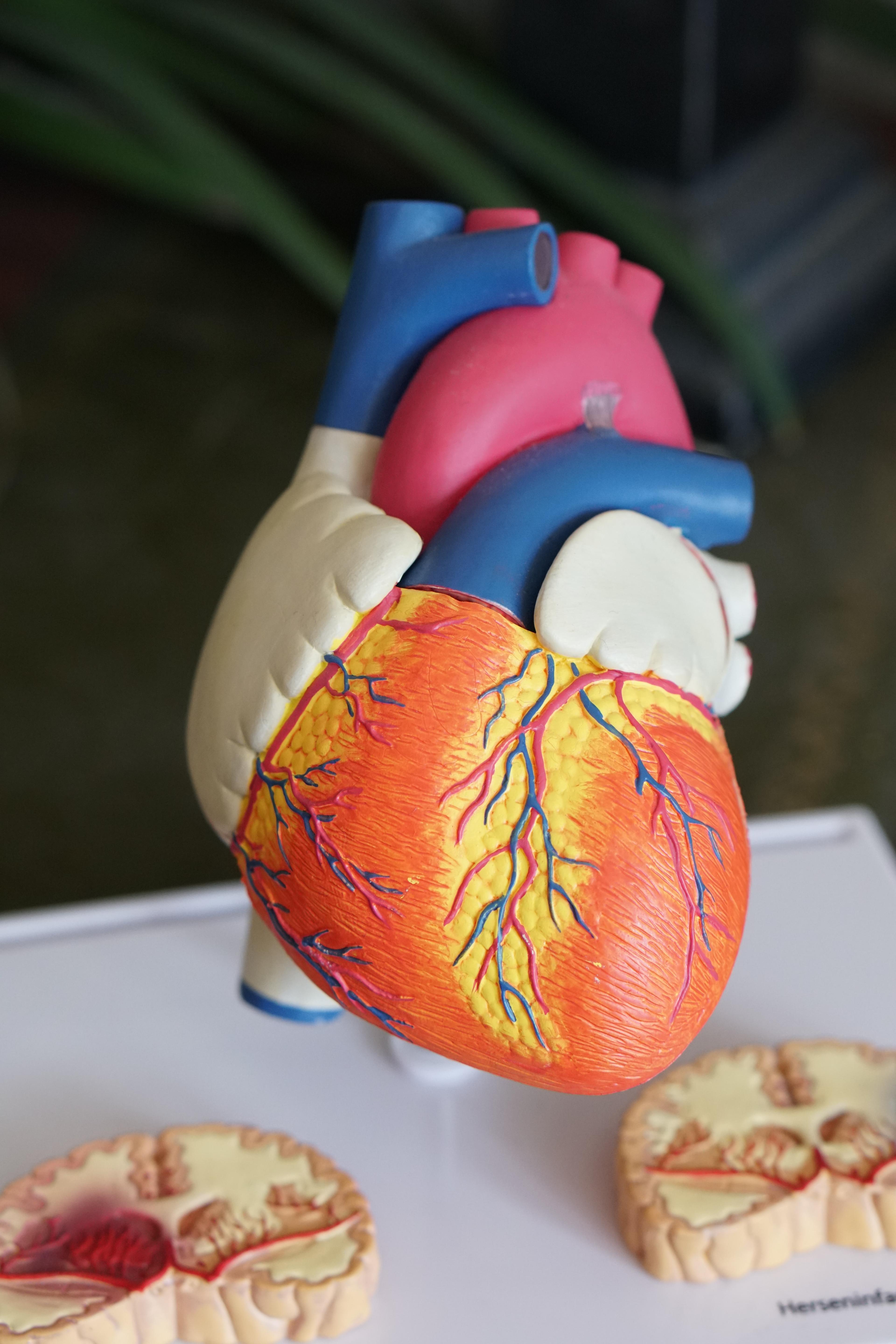 Niewydolność serca: Objawy, leczenie i jak poprawić jakość życia. Ważne, aby z chwilą rozpoznania niewydolności serca jak najszybciej wdrożyć odpowiednie leczenie. Przewlekła niewydolność serca