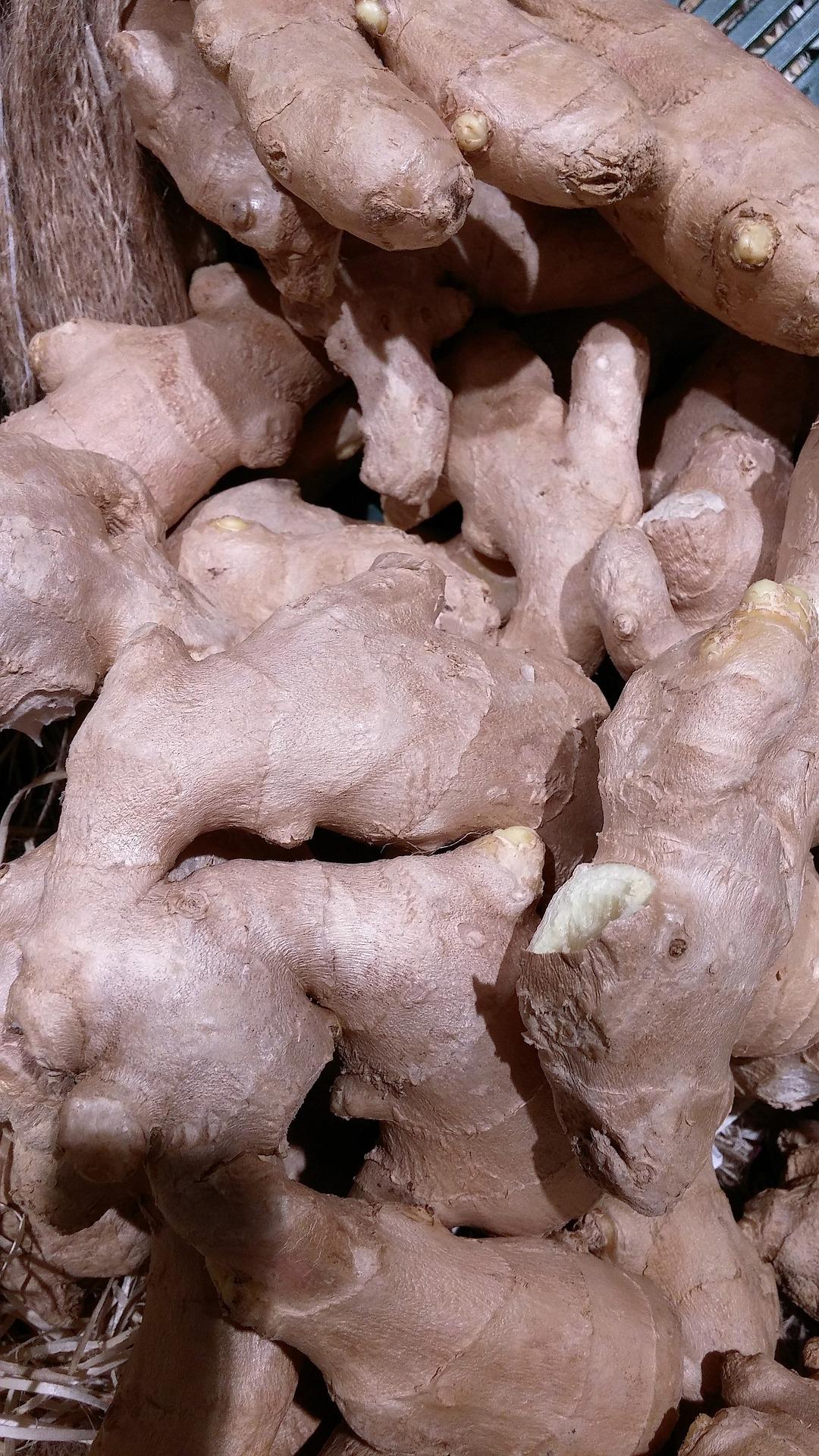 Ashwagandha czym jest i jak działa  indyjski żeń-szeń