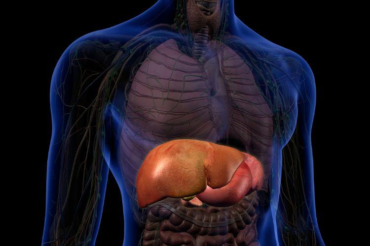 Powiększona śledziona u dziecka – przyczyny i objawy