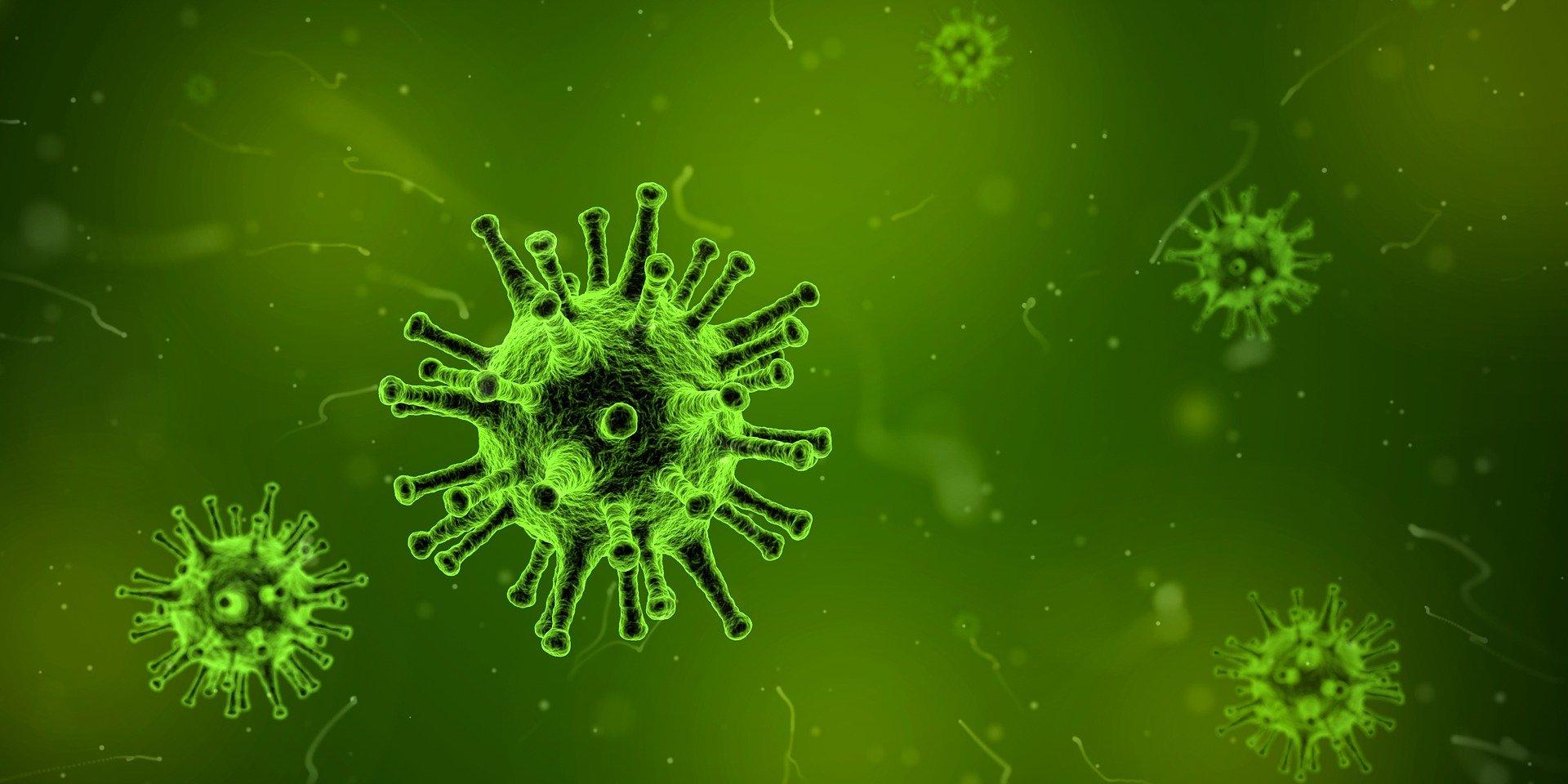 Wirus RSV - choroba a zakażenie wirusem RSV i powikłania