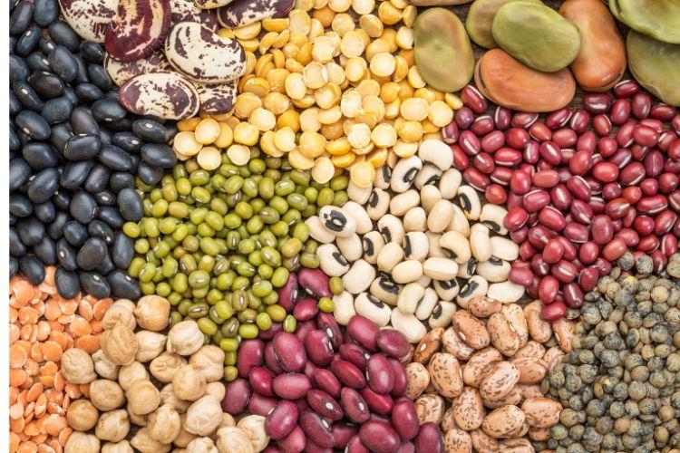 Soczewica - jakie ma właściwości? Jak gotować czerwoną soczewicę?