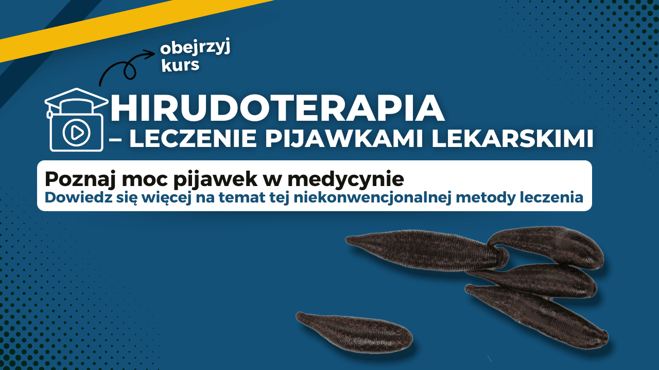 Hirudoterapia - terapia pijawkami