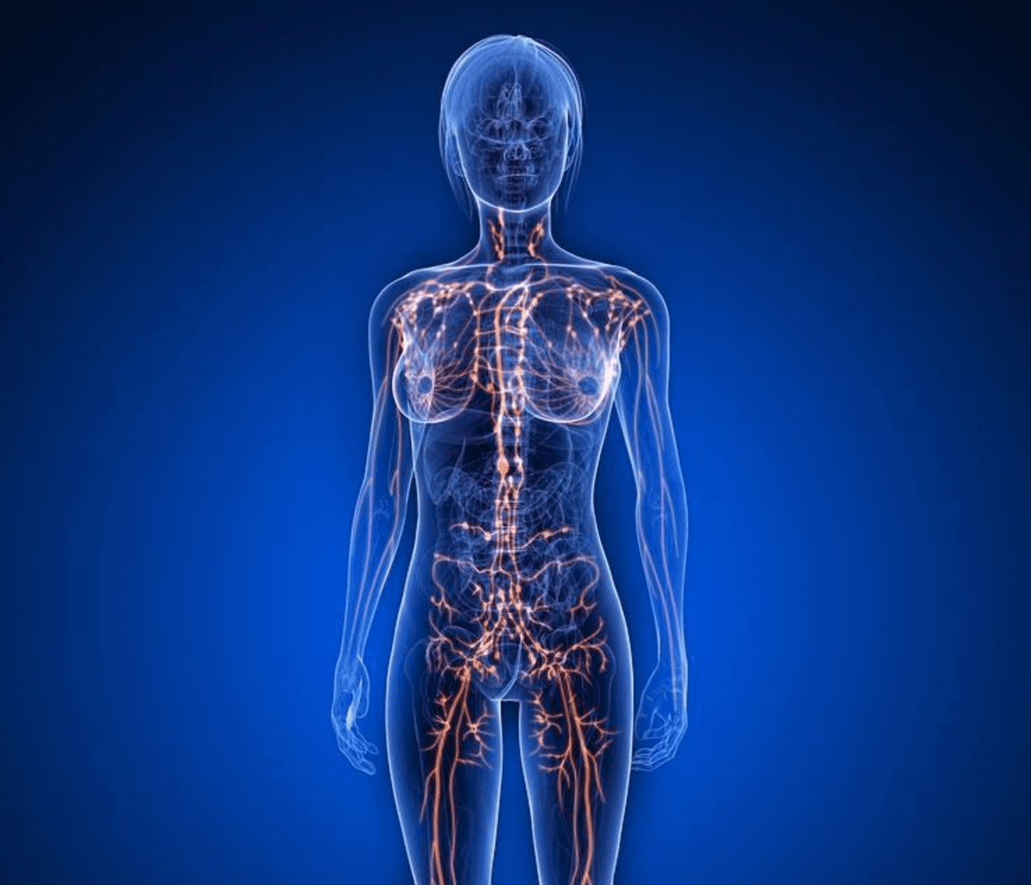 Węzeł chłonny - niepokojące objawy, co kiedy węzły chłonne są powiększone?