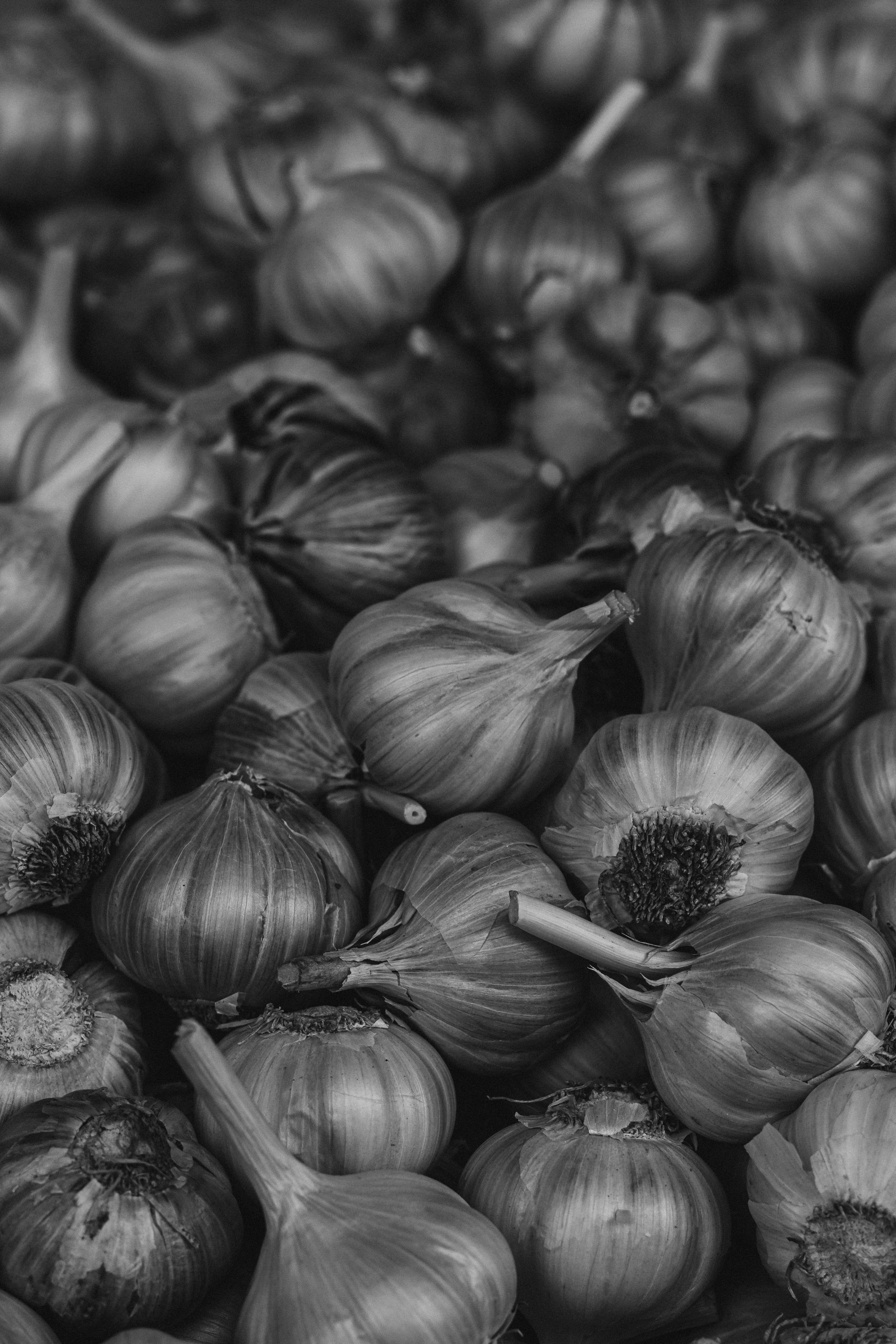 Czarny czosnek – naturalny eliksir zdrowia. Jakie ma właściwości i kiedy warto go stosować ?