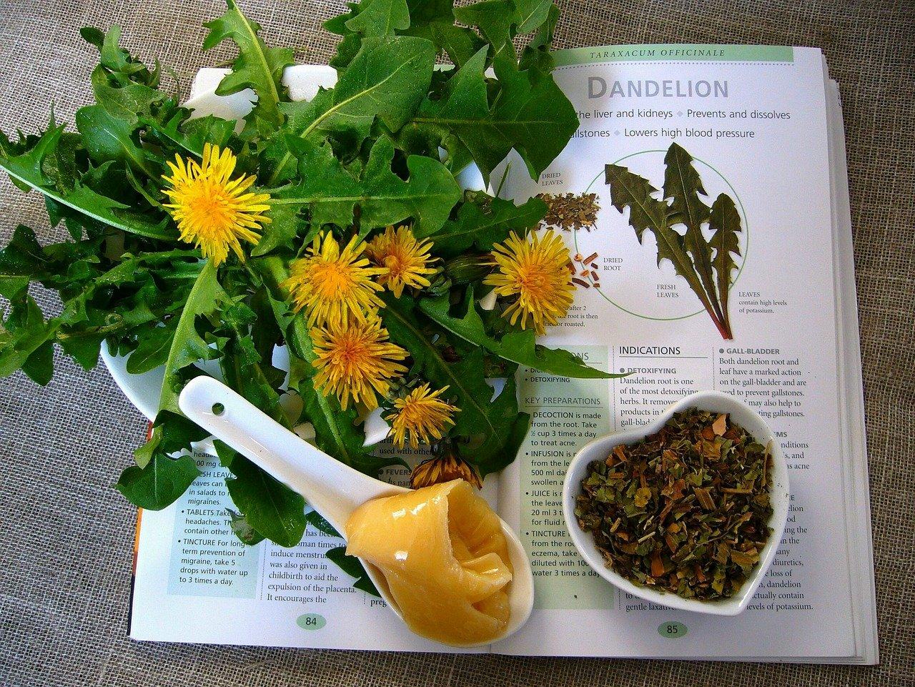 Naturalne leki i preparaty ziołowe 