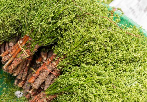 Co to jest chinina, jakie są jej właściwości zdrowotne i jak się ją stosuje?