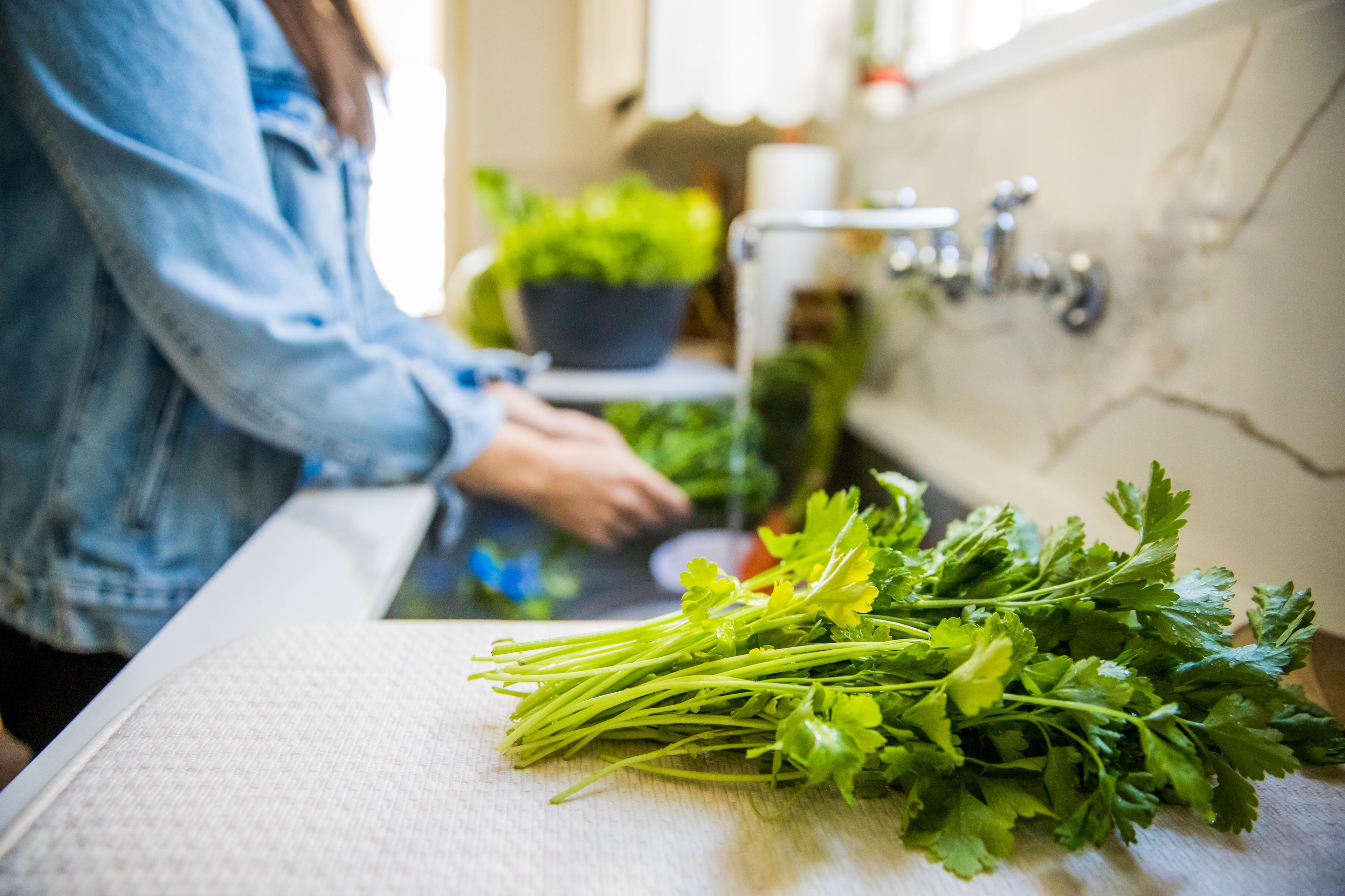Kolendra - Roślina o właściwościach detoksykacyjnych i wspomagających trawienie. Jakie przyprawy, zioła czy inne produkty warto łączyć z kolendrą? 