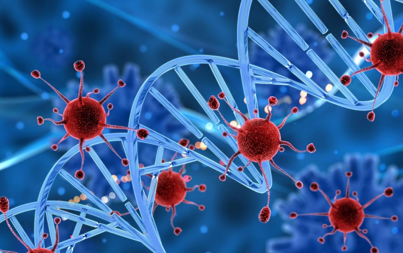 Co to jest Autoimmunologia ?