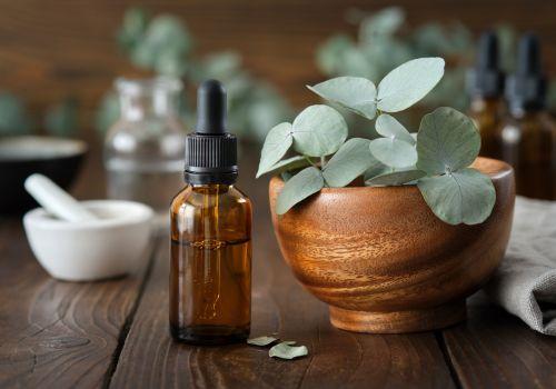 Olejek eukaliptusowy - jak wpływa na zatoki i czy to najlepszy olejek do inhalacji?