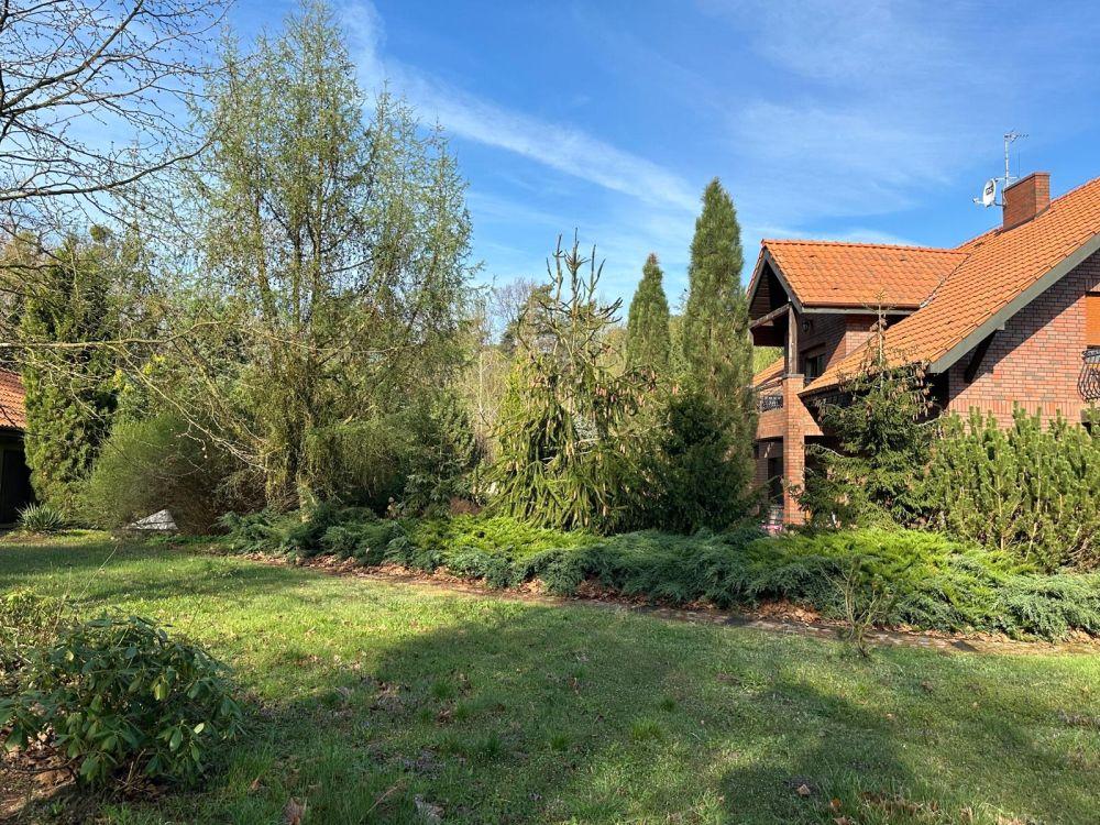 Jak wybrać prywatny ośrodek leczenia uzależnień ?