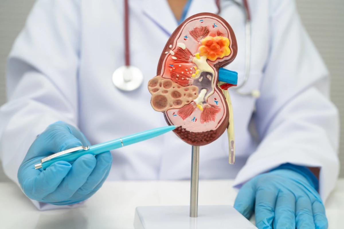 Kiedy warto udać się do urologa? 7 objawów, których nie wolno ignorować