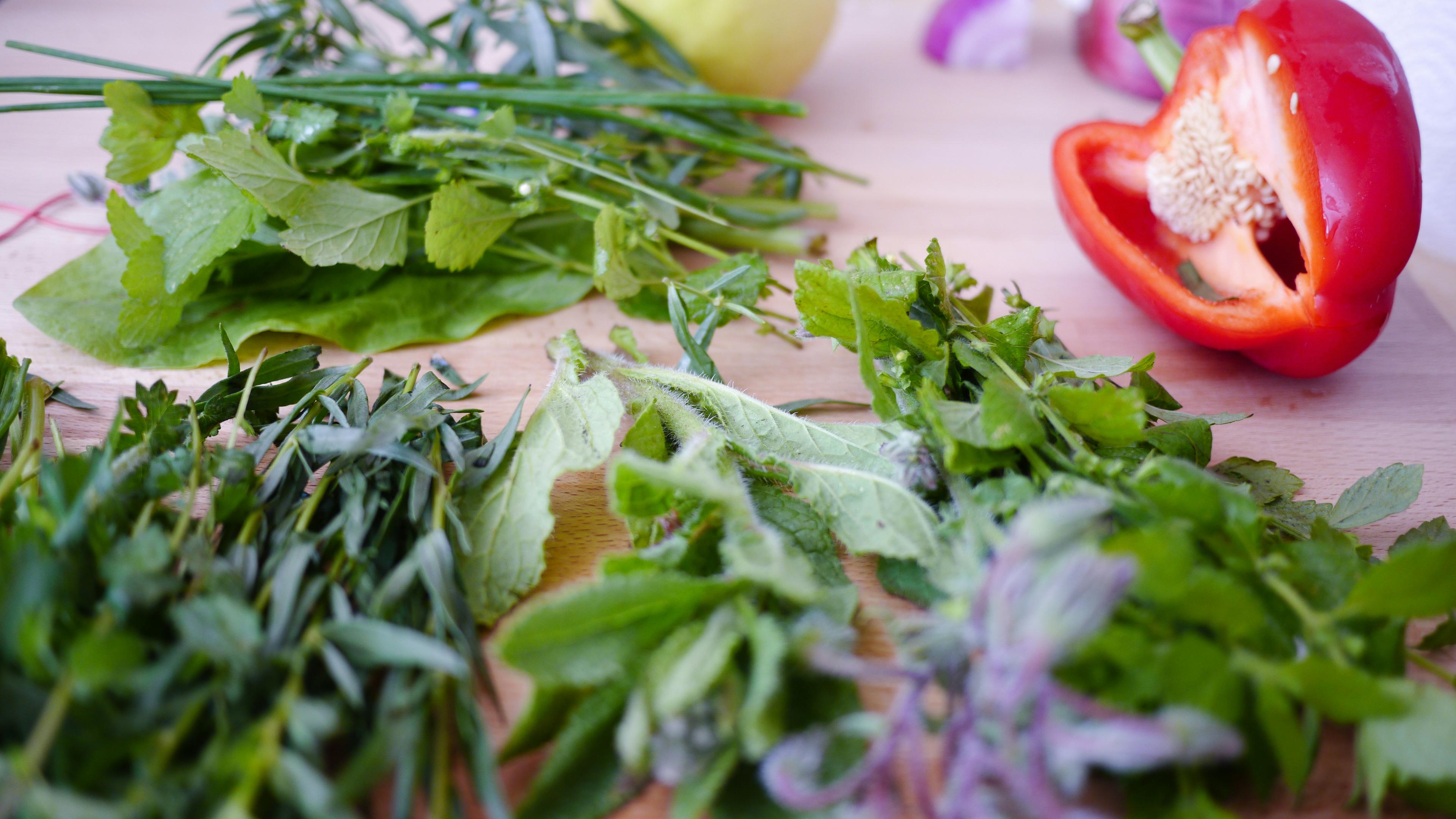 Top 5 ziół wspomagających regulację prolaktyny – naturalne sposoby na równowagę hormonalną