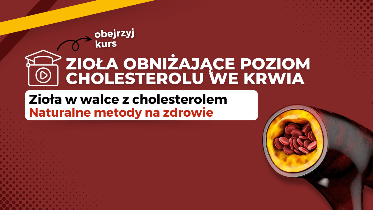 Zioła obniżające cholesterol Video