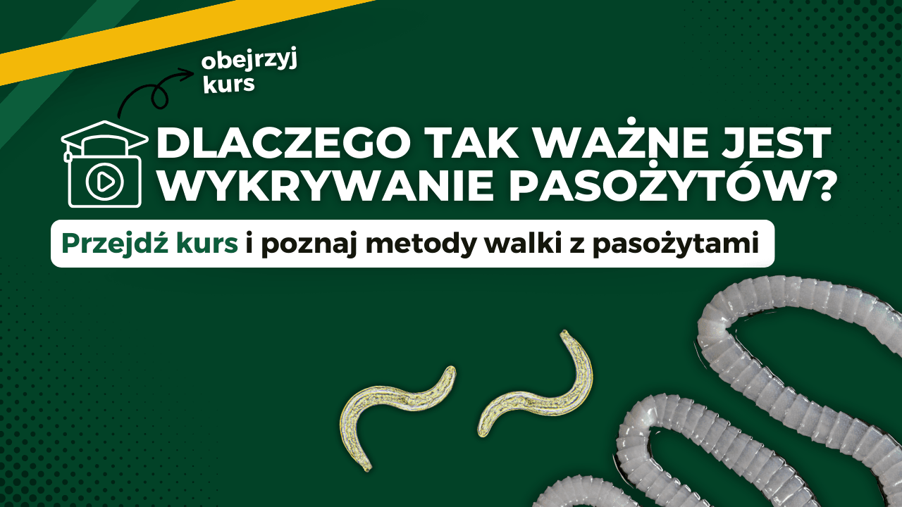 Dlaczego tak ważne jest wykrywanie pasożytów